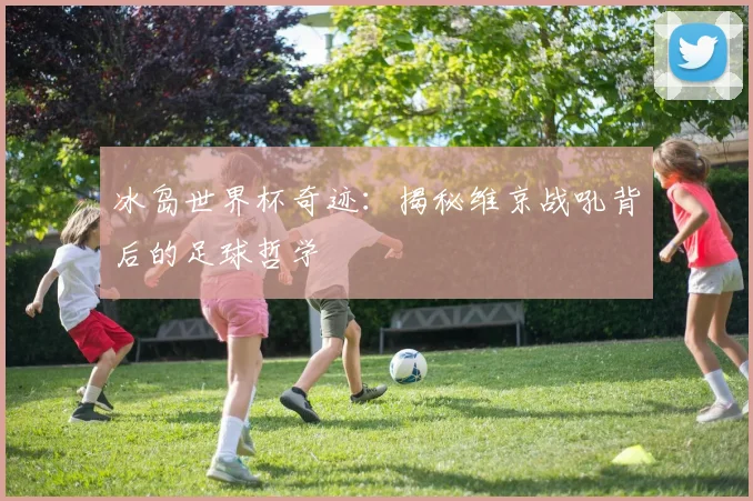 冰岛世界杯奇迹：揭秘维京战吼背后的足球哲学