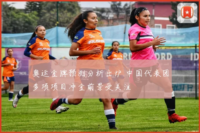 奥运金牌预测分析出炉 中国代表团多项项目冲金前景受关注
