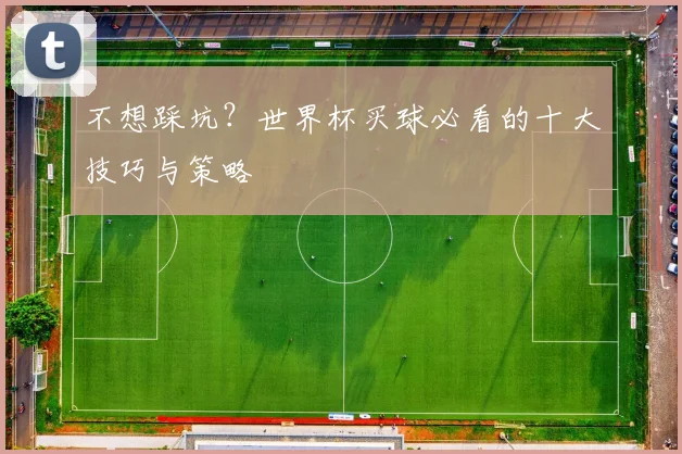 不想踩坑？世界杯买球必看的十大技巧与策略
