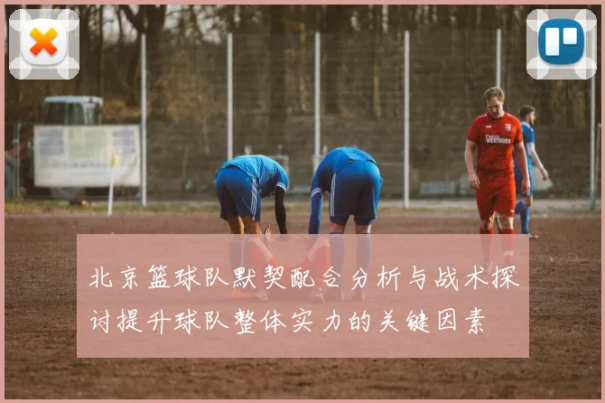 北京篮球队默契配合分析与战术探讨提升球队整体实力的关键因素